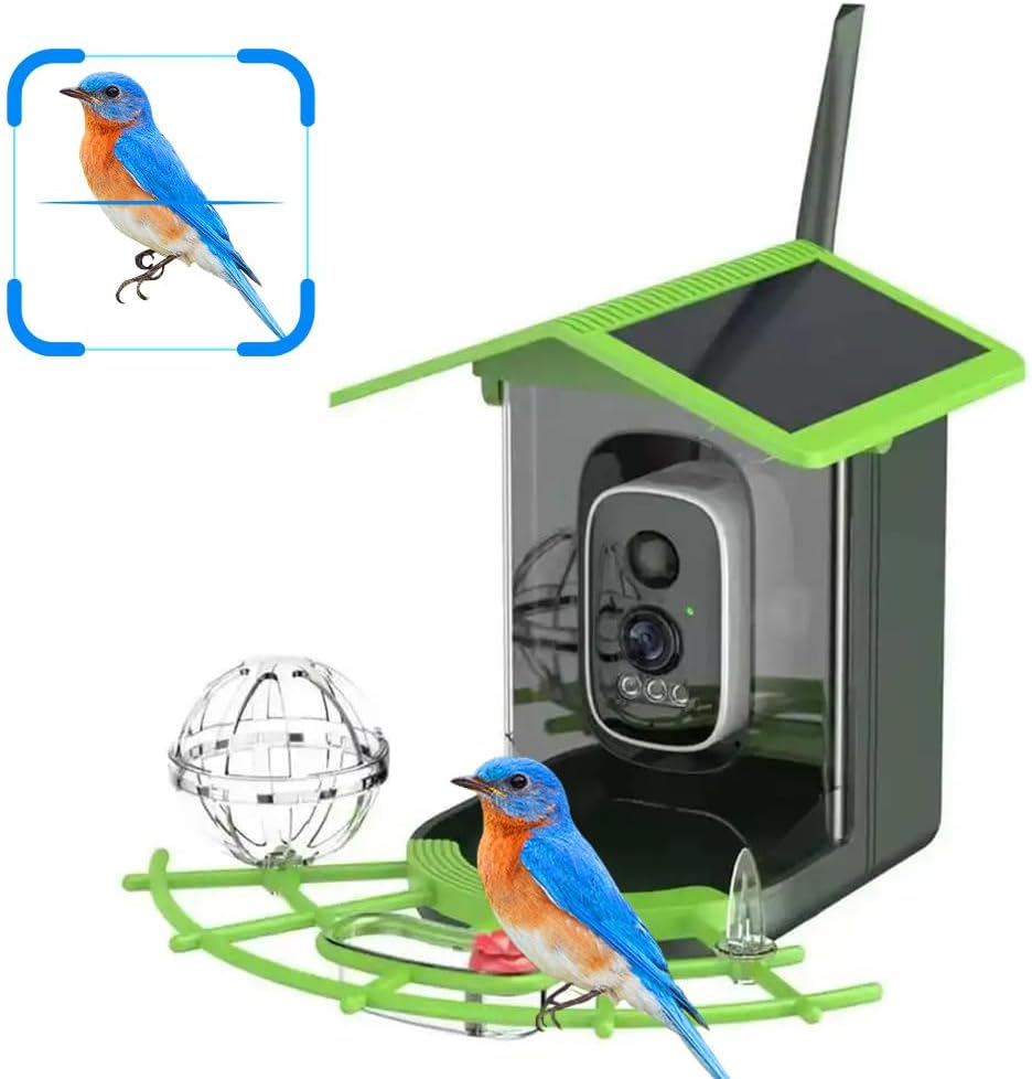 Real Time Bird watching WIFI A - A1 Watches & Jewelry New York Photos 评论和价格